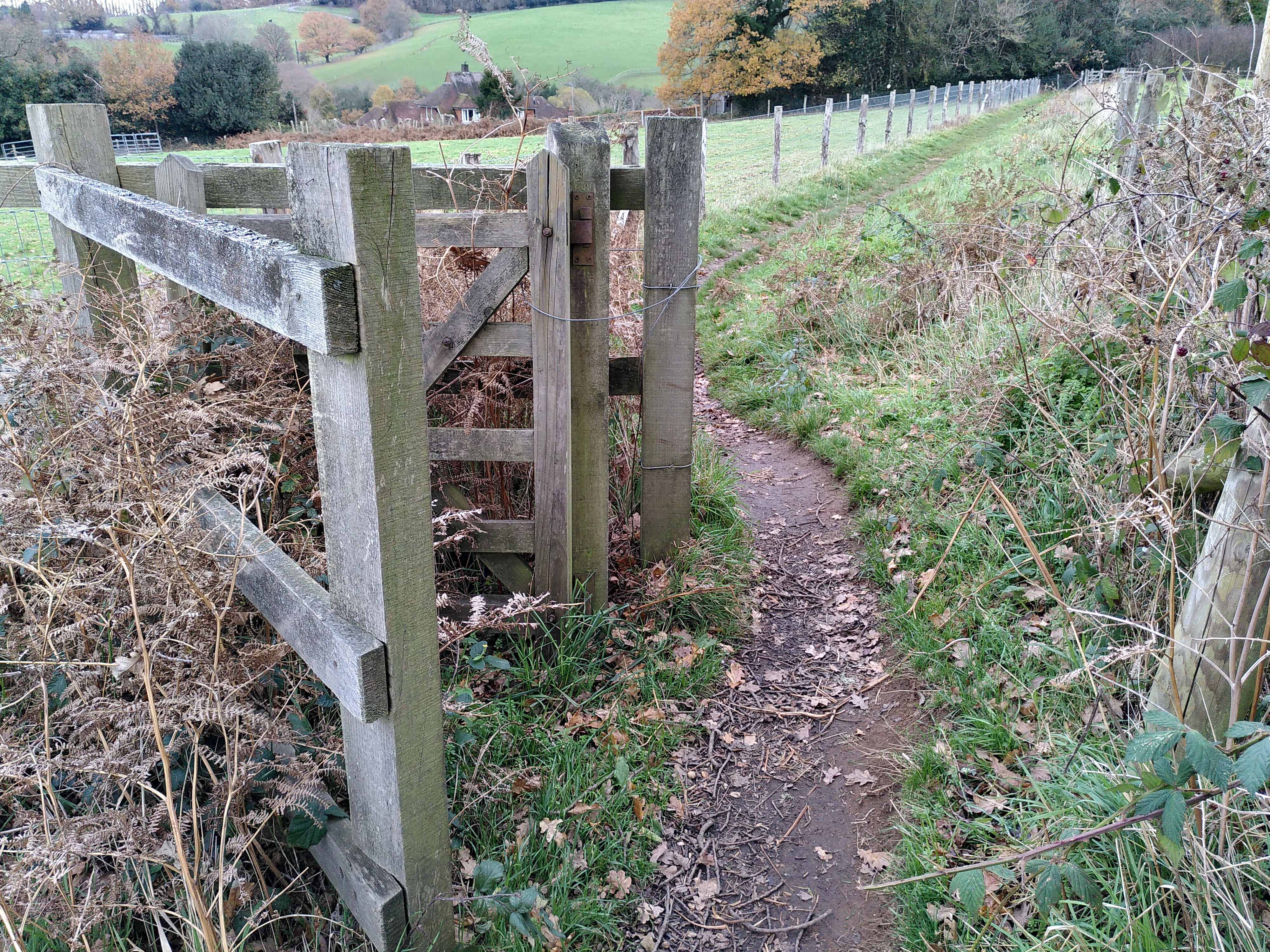 Tony Parker Kissing Gate 3 Nov2020